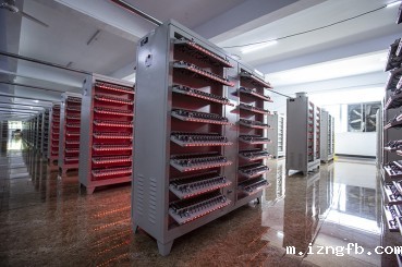 锂电池化成车间